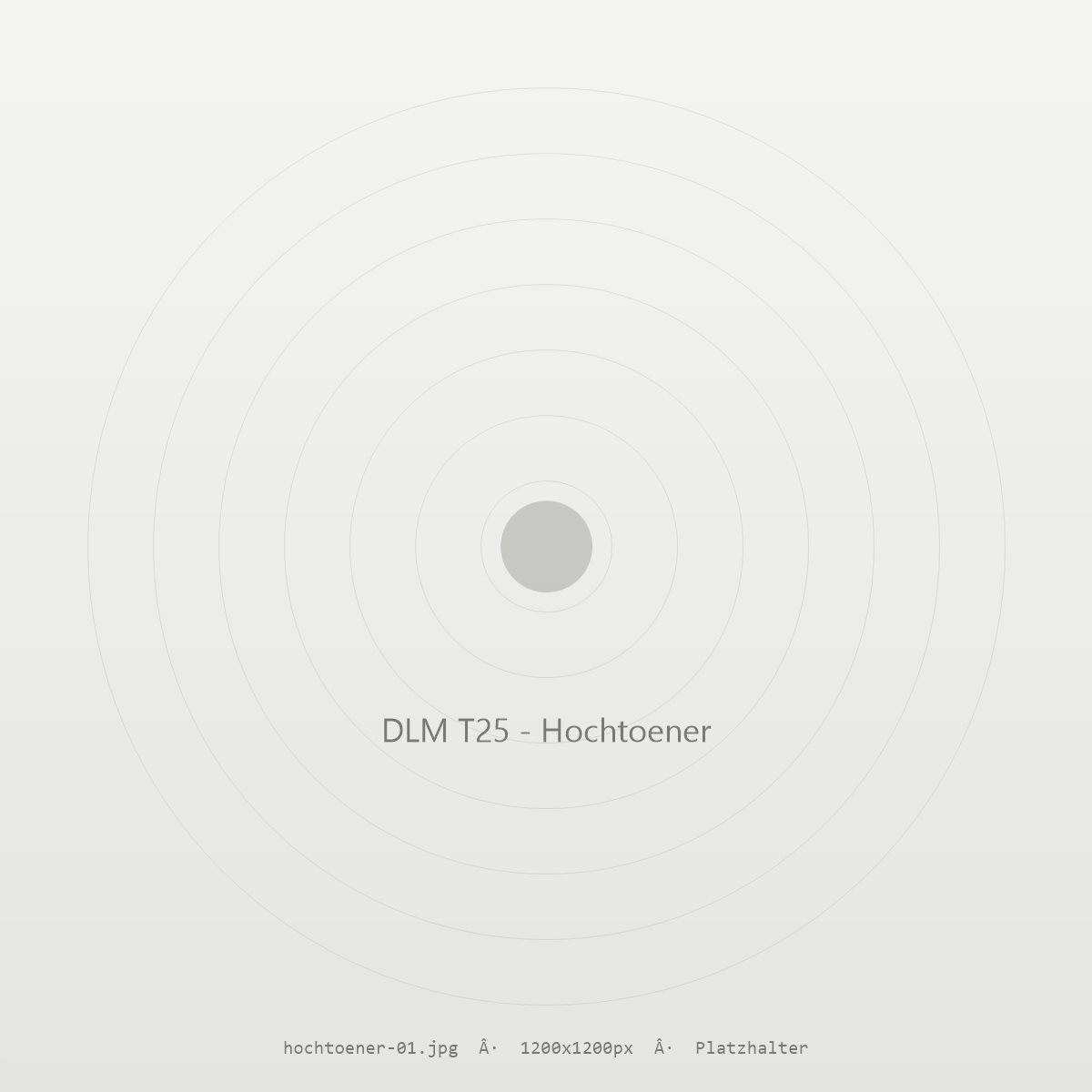 DLM tweeter chassis