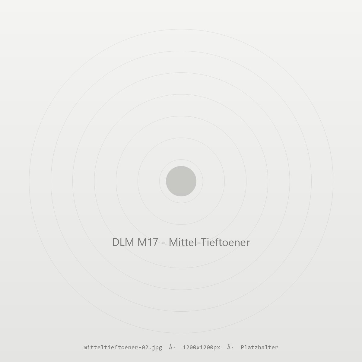 DLM mid-woofer chassis